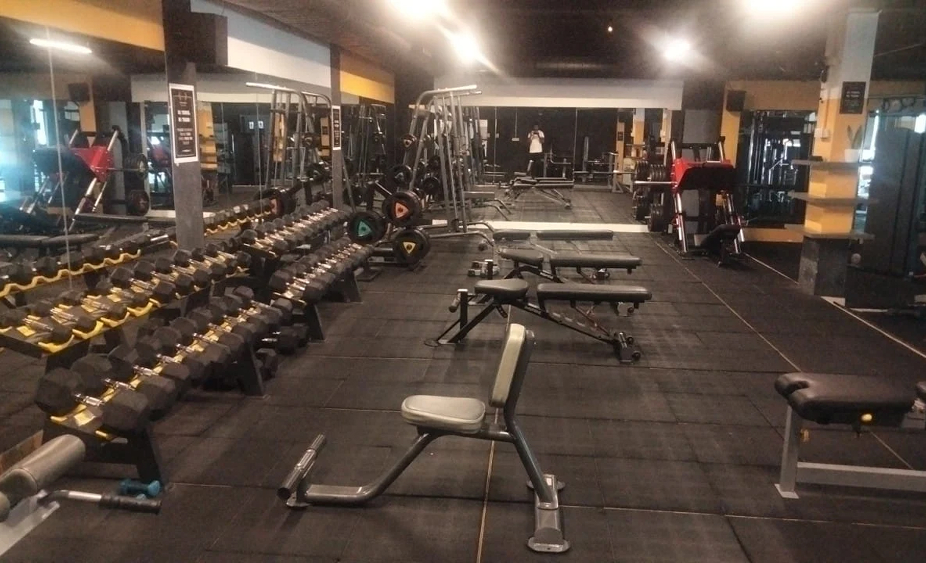 Ladies Section